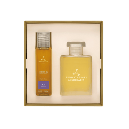 DS ボディケアセット 25