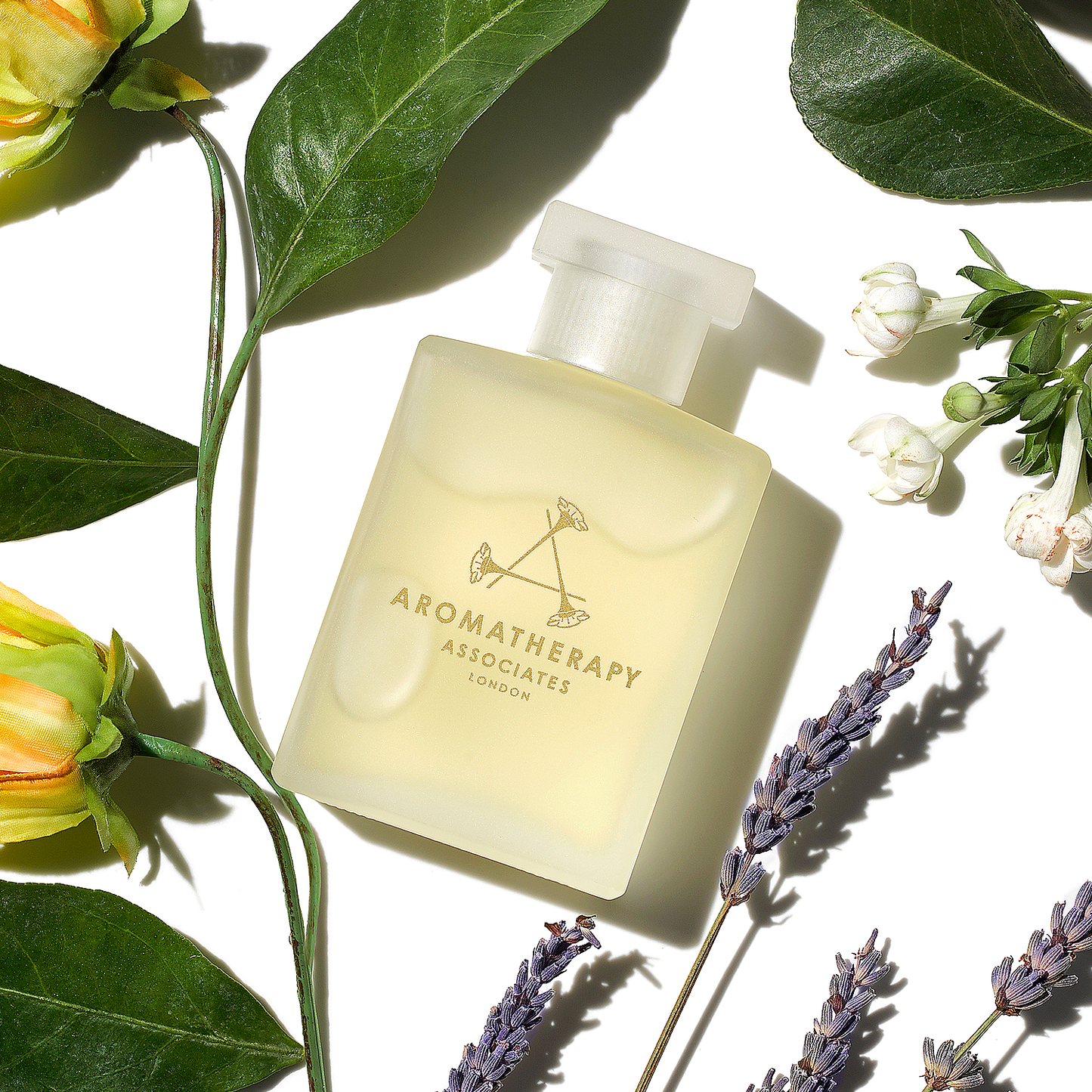 ライトリラックス バスアンドシャワーオイル [ 55mL ]