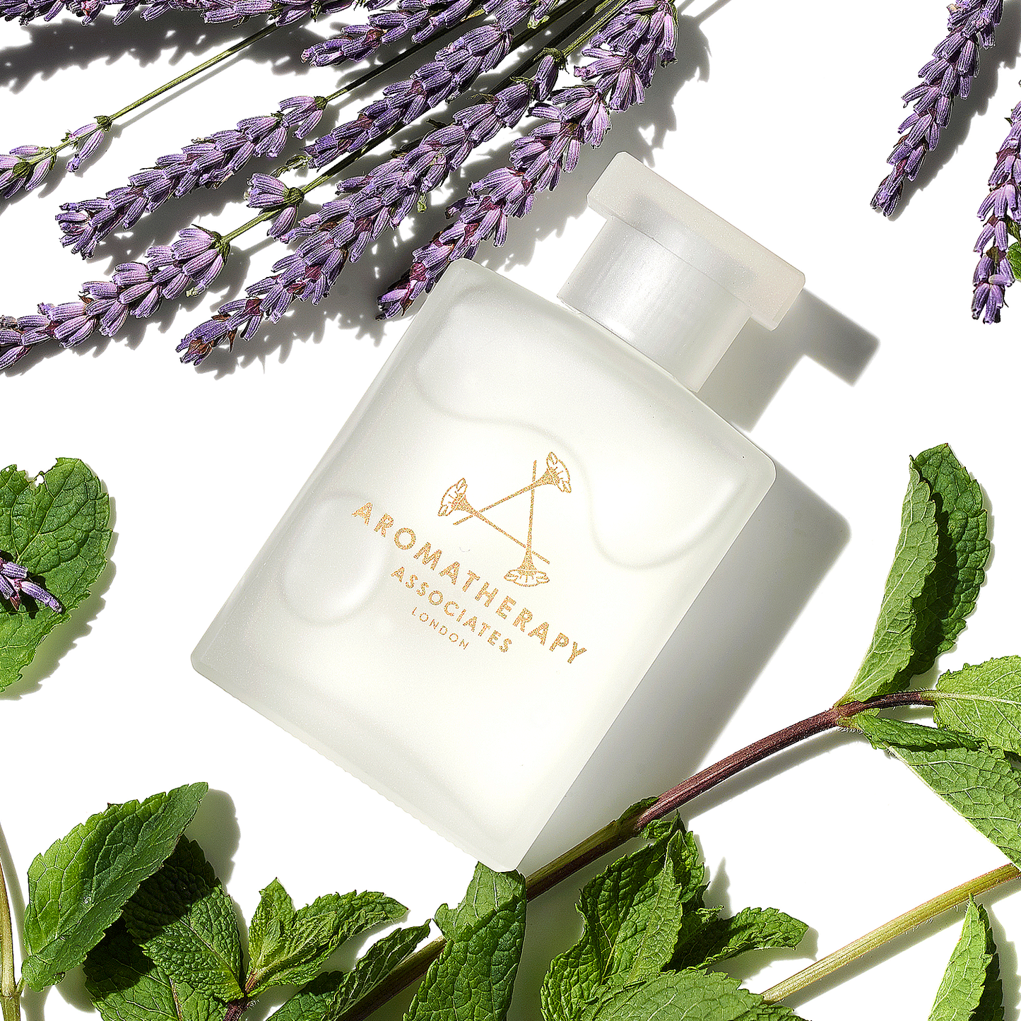 カーミング バスアンドシャワーオイル [ 55mL ]