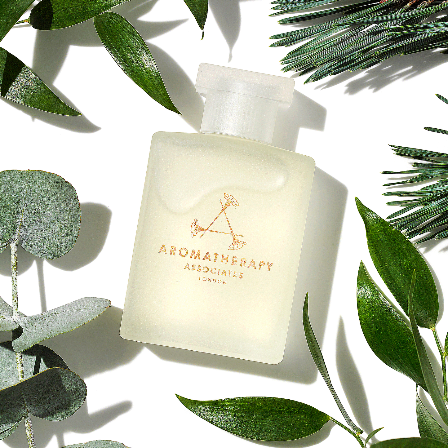 ブリーズ バスアンドシャワーオイル [ 55mL ]