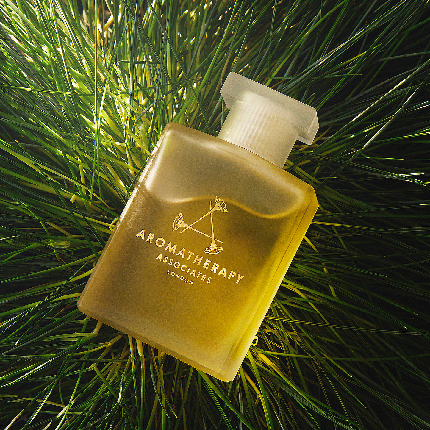 フォレスト バスアンドシャワーオイル [ 55mL ]