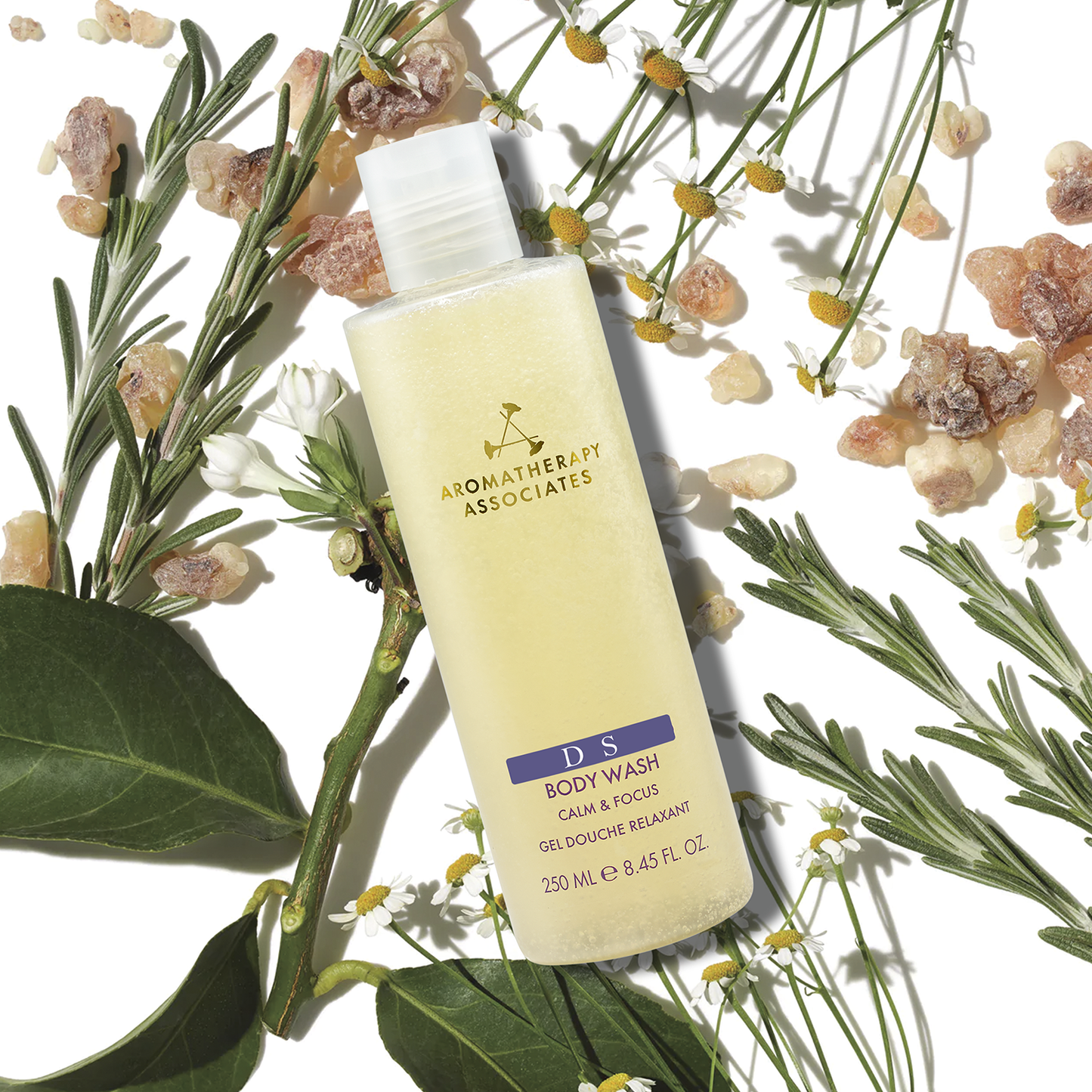 DS ボディウォッシュN [ 250mL ]