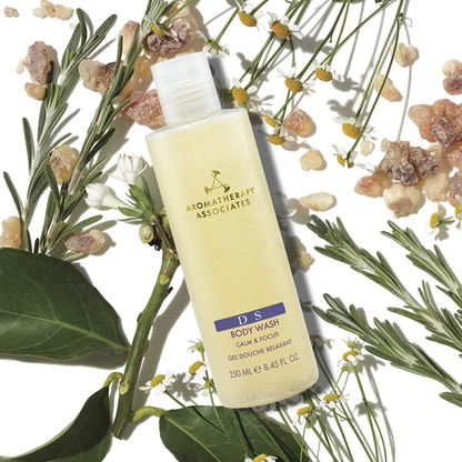 DS ボディウォッシュN [ 250mL ]