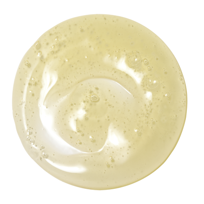 DS ボディウォッシュN [ 250mL ]