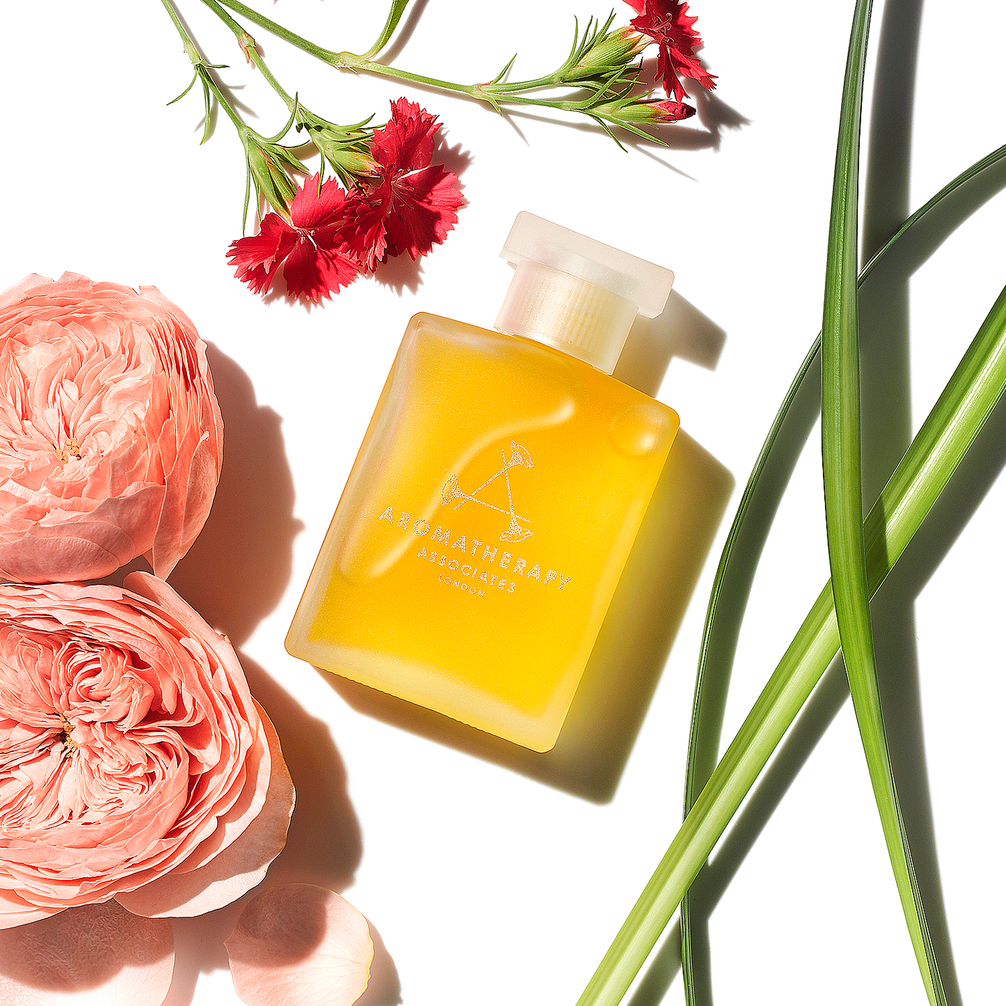 RS バスアンドシャワーオイルN [ 55mL ]