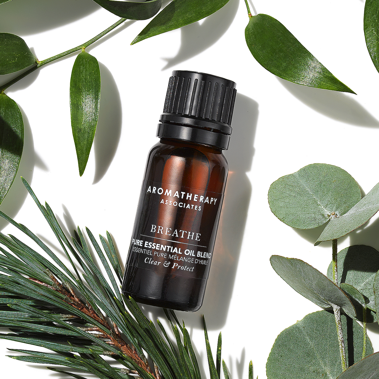 エッセンシャルオイル ブリーズ [ 10mL ]