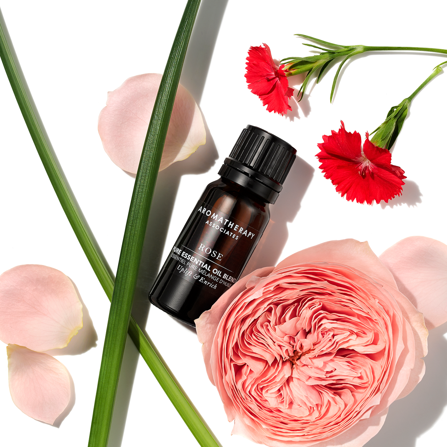 エッセンシャルオイル RS [ 10mL ]